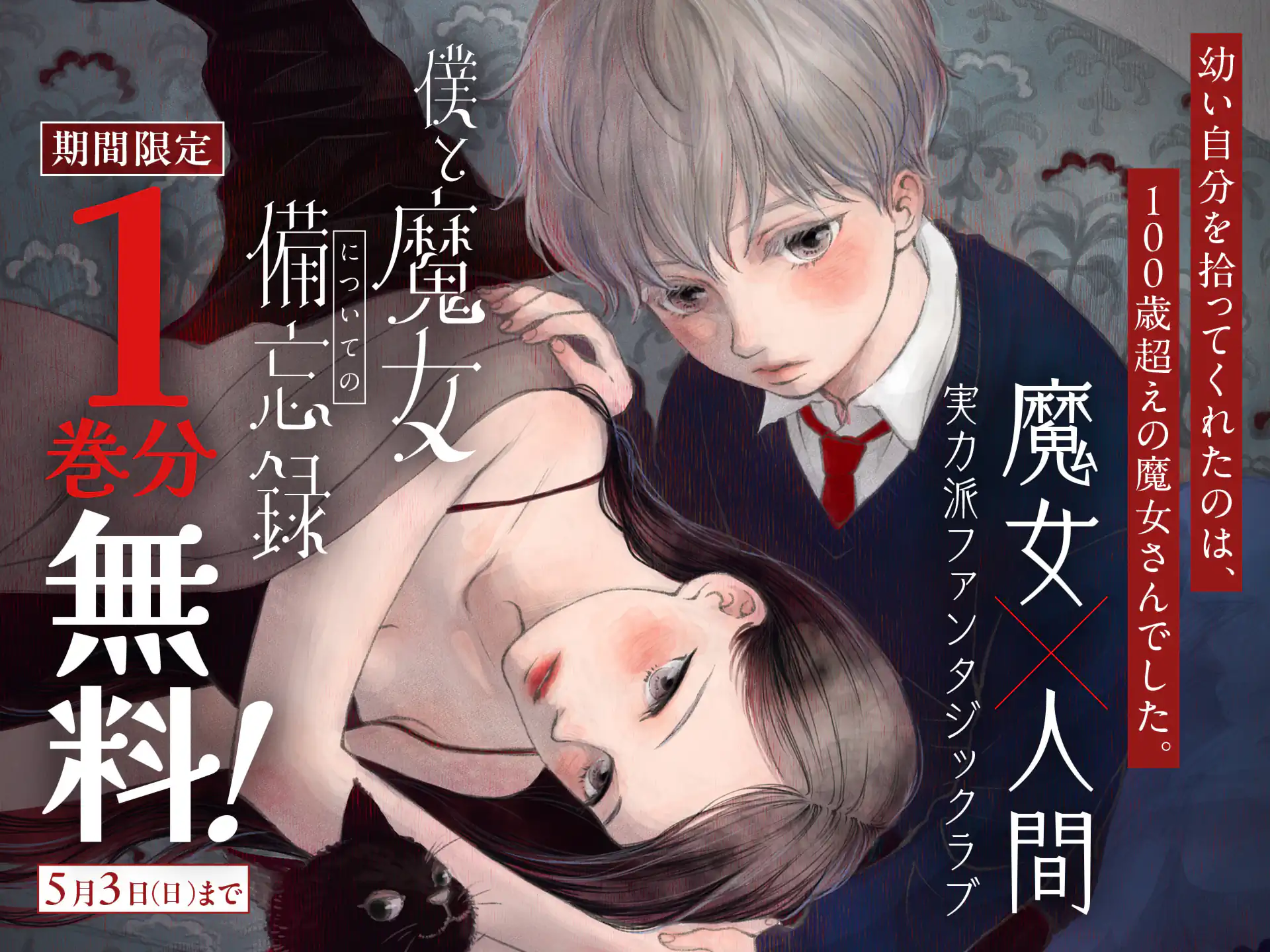 僕と魔女についての備忘録