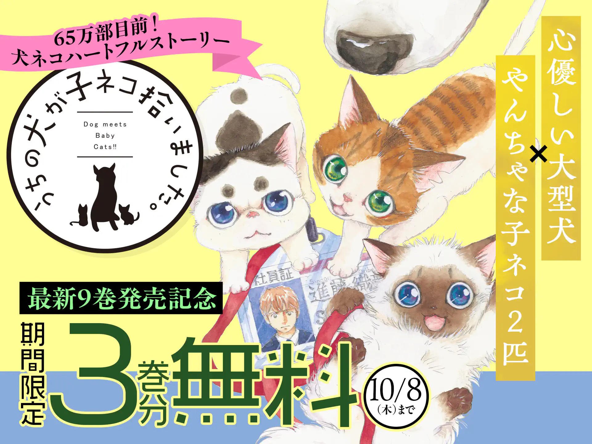 うちの犬が子ネコ拾いました。