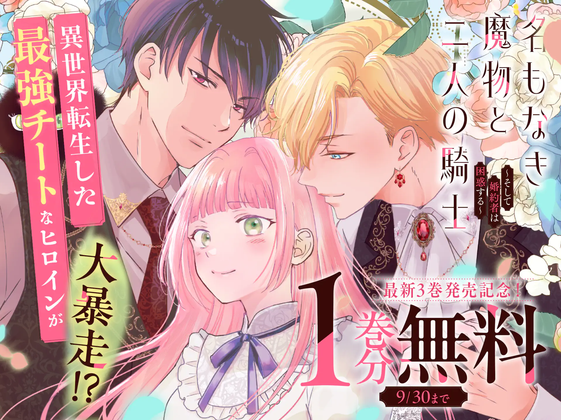 名もなき魔物と二人の騎士～そして婚約者は困惑する～