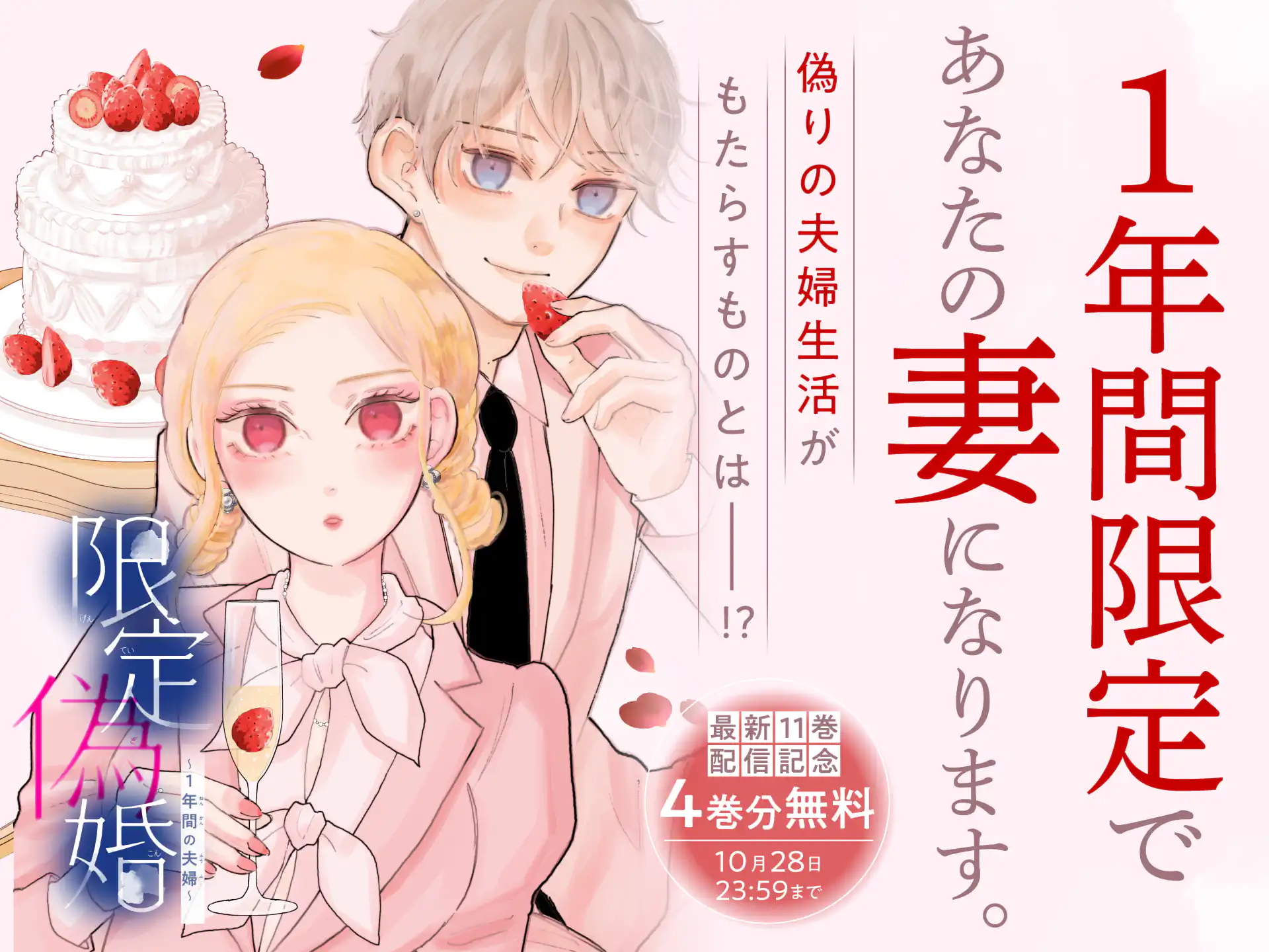 限定偽婚~1年間の夫婦~