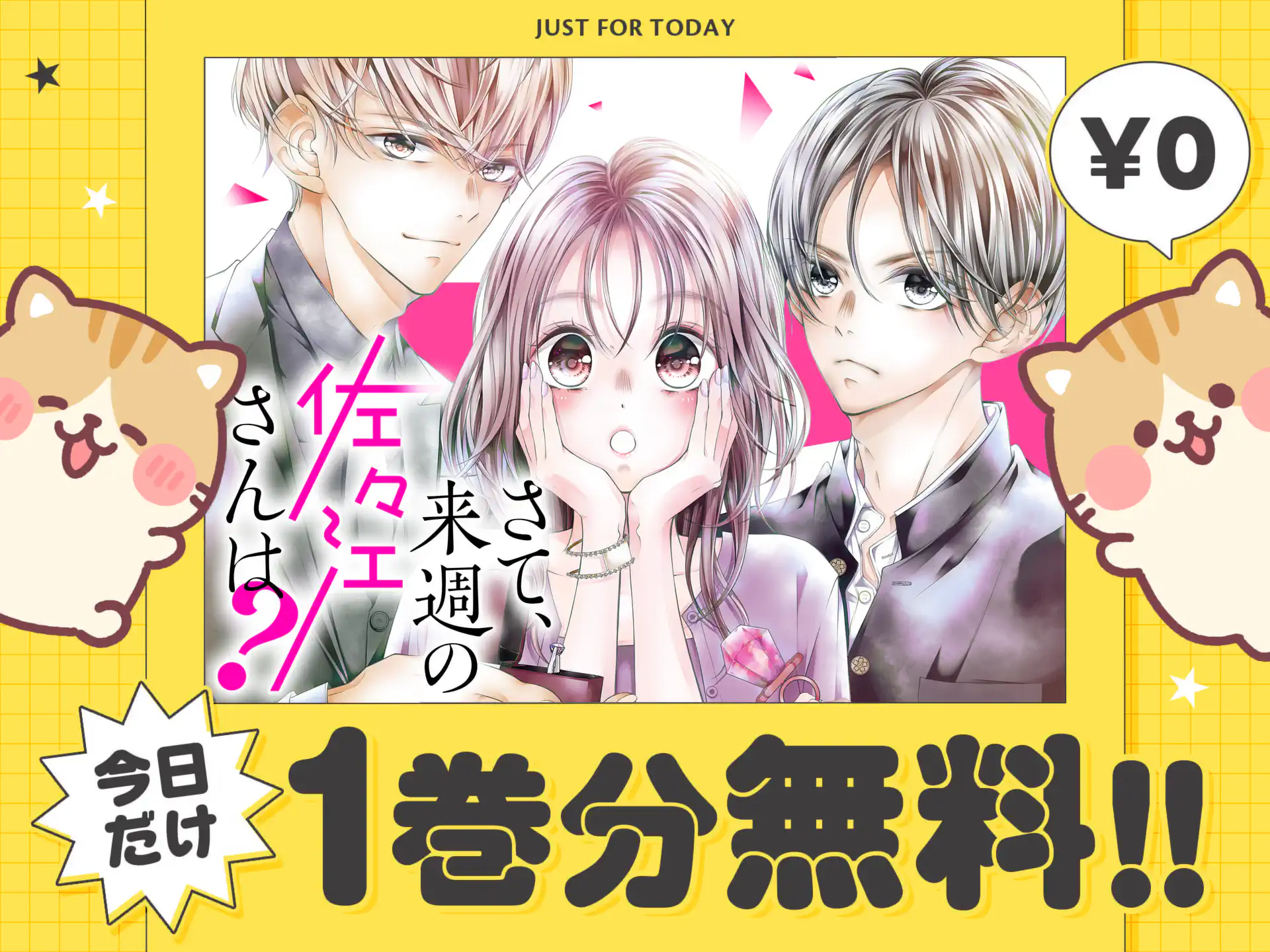 さて、来週の佐々江さんは？