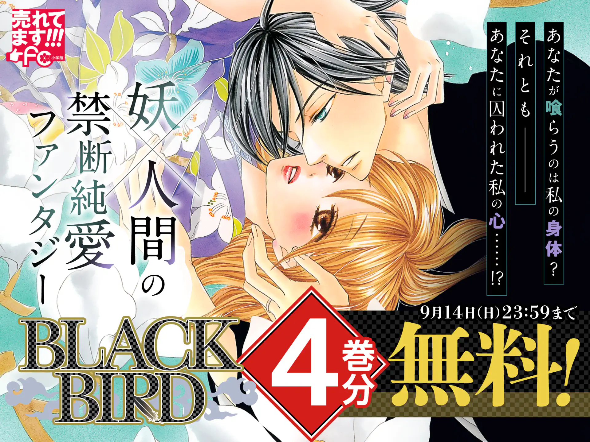 BLACK BIRD