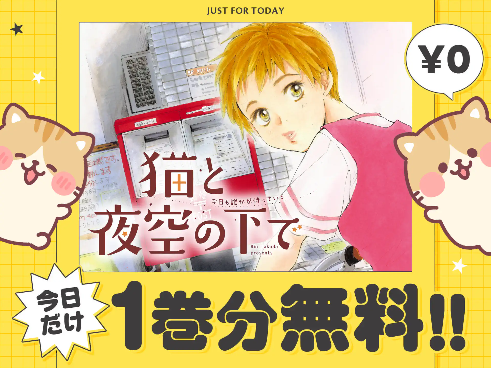 猫と夜空の下で