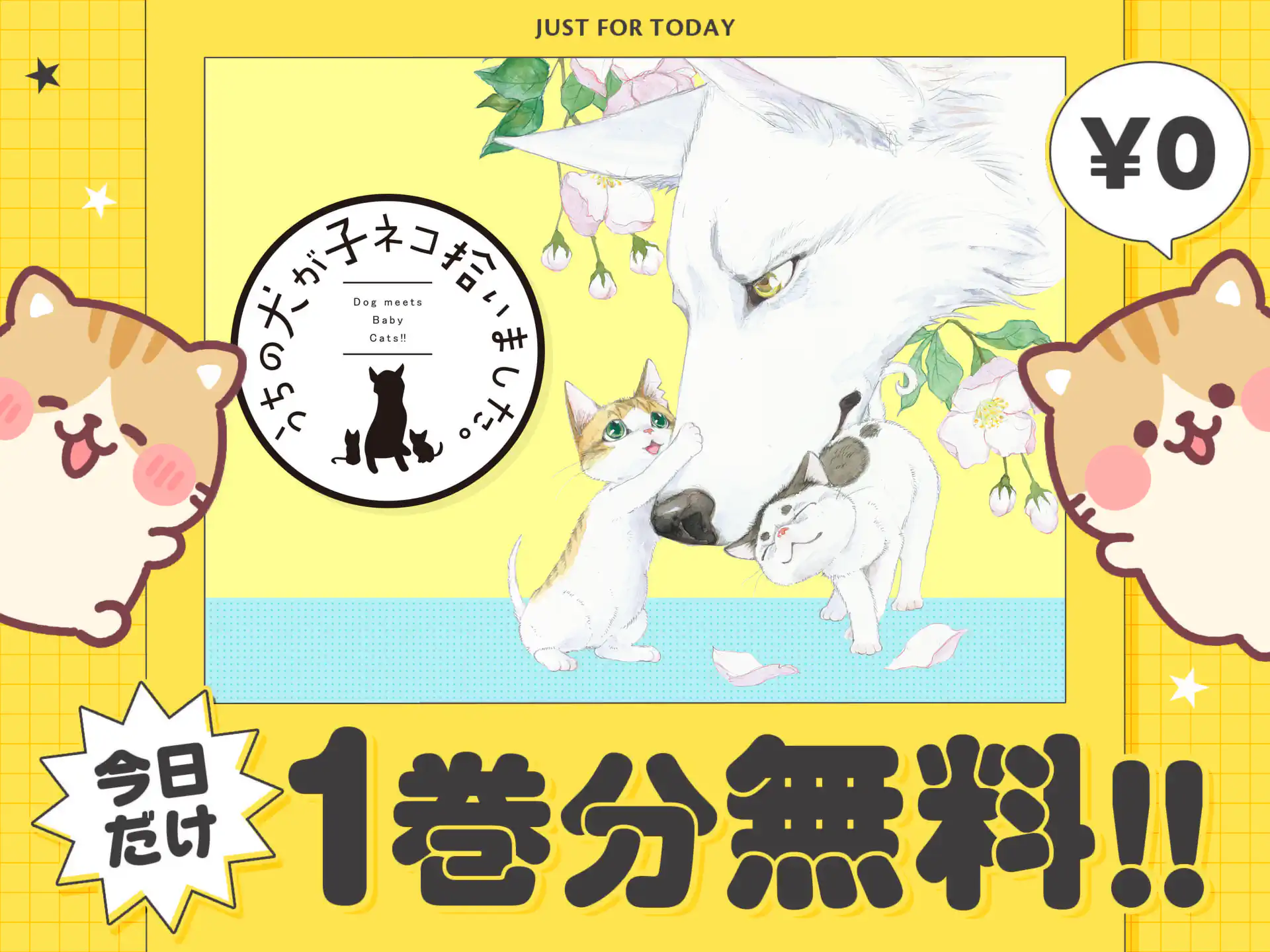 うちの犬が子ネコ拾いました。