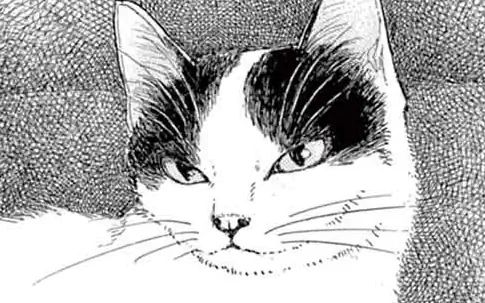 読み切り（４ｐ）  の話サムネイル