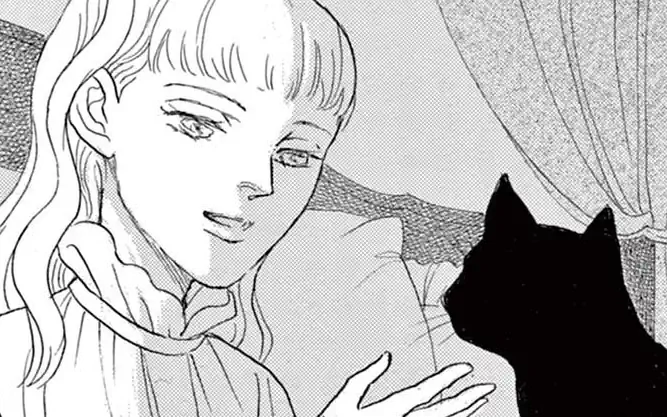 夜の逍遙  の話サムネイル