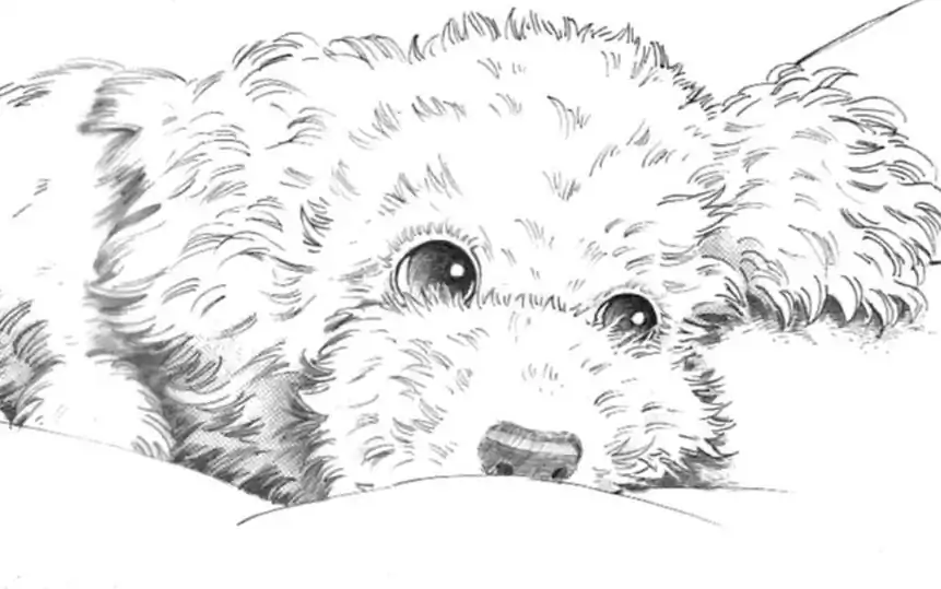 第5話  の話サムネイル