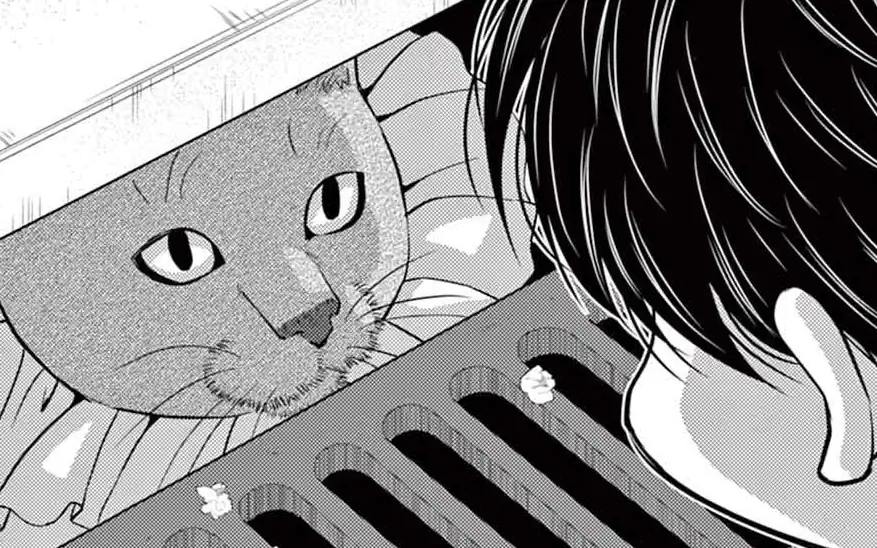 第122回 テーマパークの猫山さん の話サムネイル