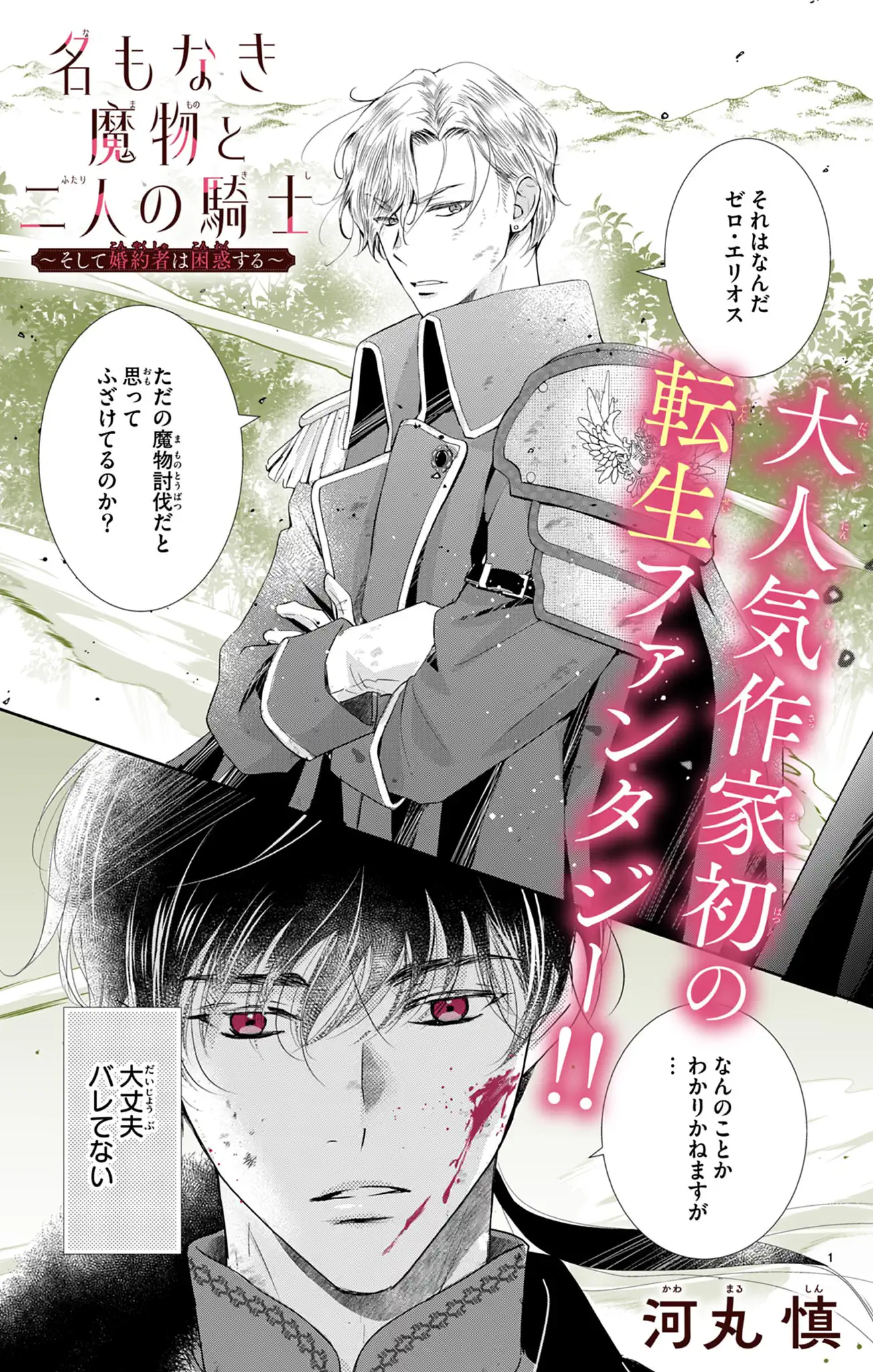 名もなき魔物と二人の騎士~そして婚約者は困惑する~