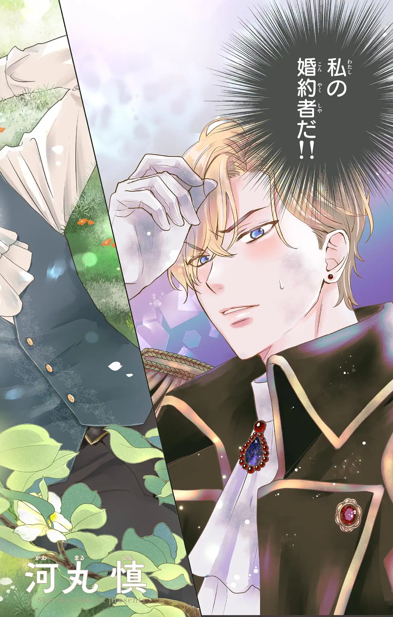 名もなき魔物と二人の騎士~そして婚約者は困惑する~