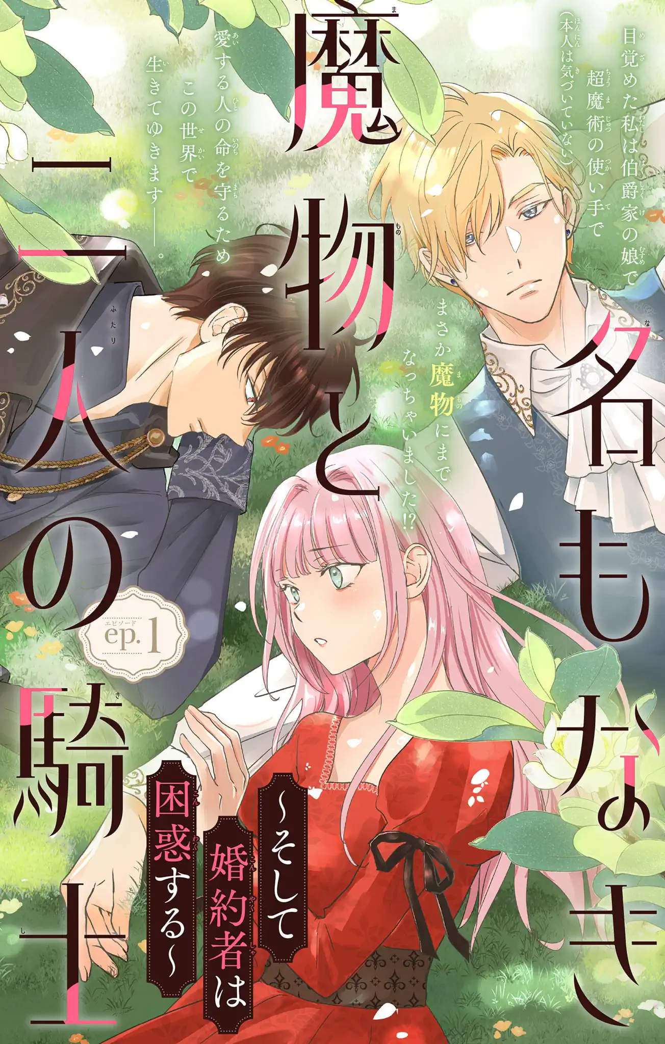 名もなき魔物と二人の騎士~そして婚約者は困惑する~