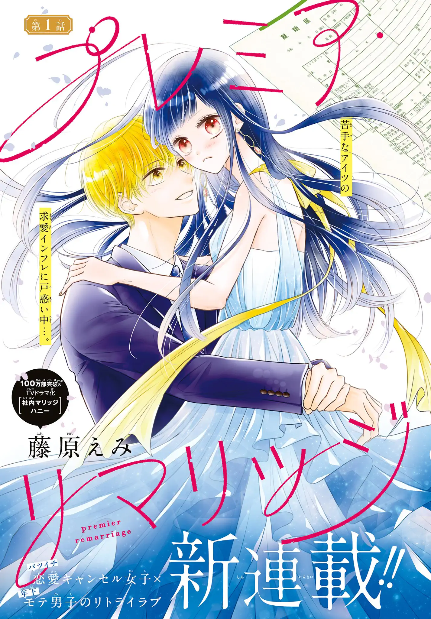 プレミア・リマリッジ