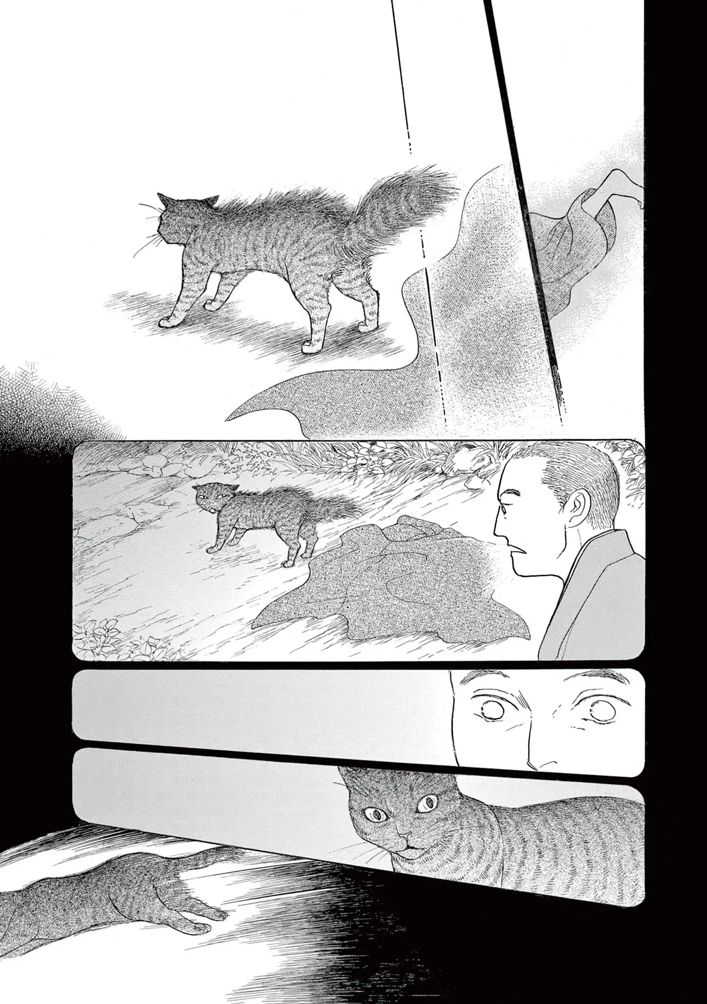 あらあらかしこ