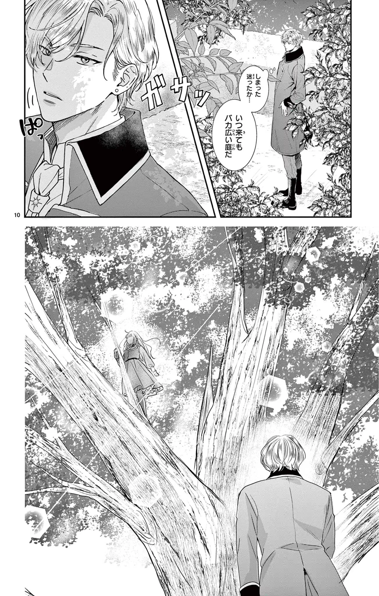 名もなき魔物と二人の騎士～そして婚約者は困惑する～