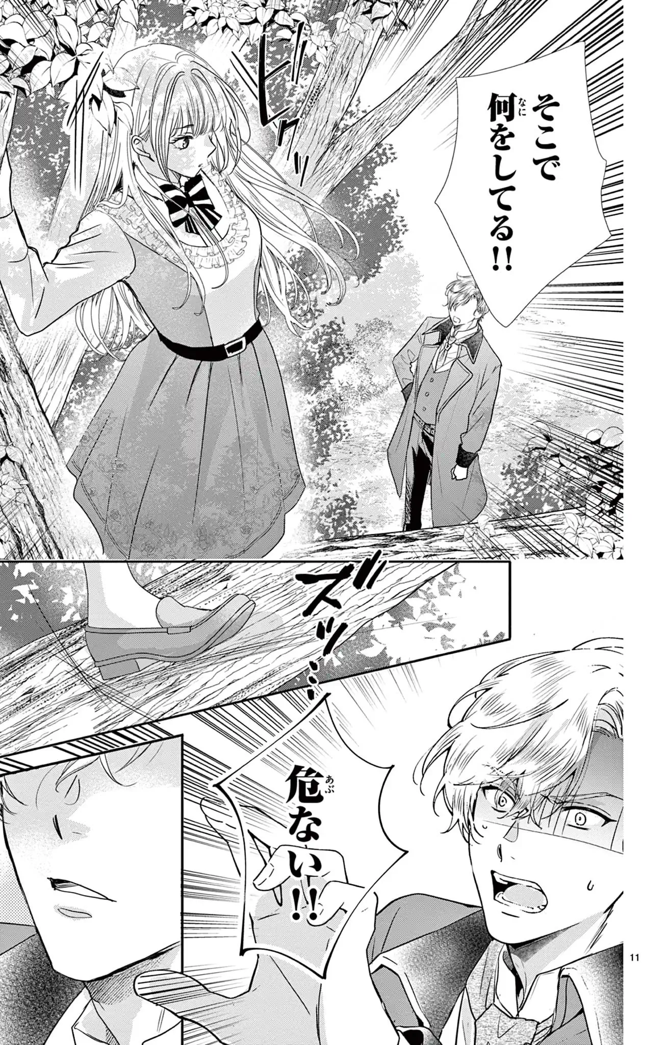 名もなき魔物と二人の騎士～そして婚約者は困惑する～