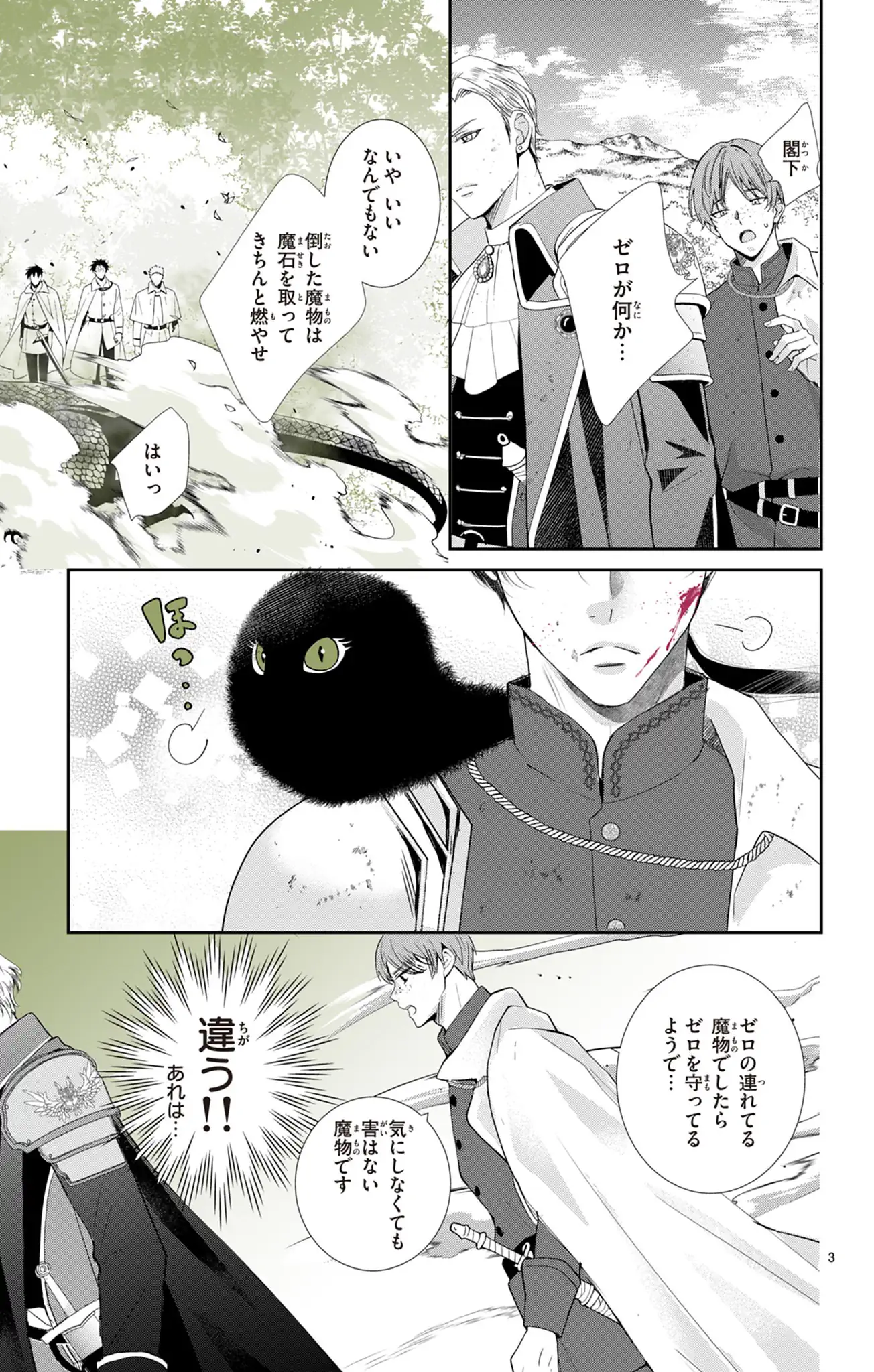 名もなき魔物と二人の騎士～そして婚約者は困惑する～