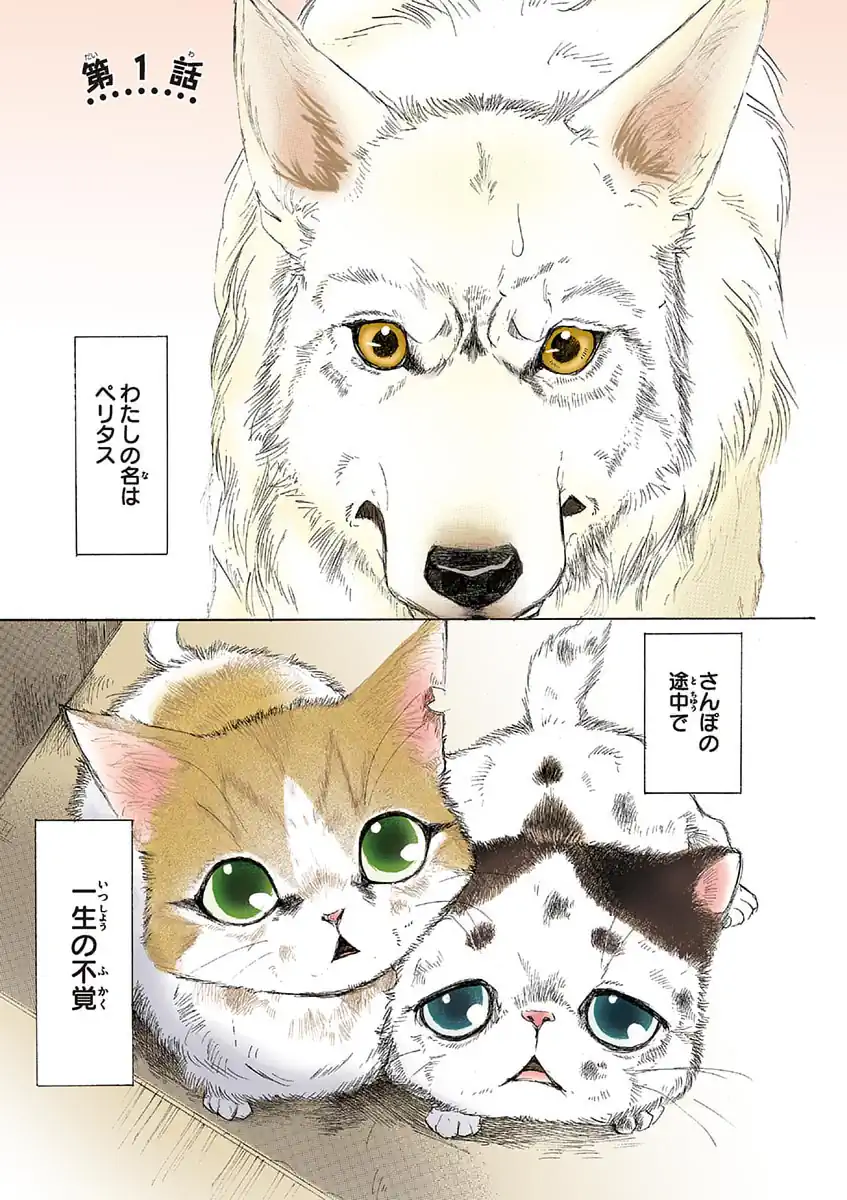 うちの犬が子ネコ拾いました。