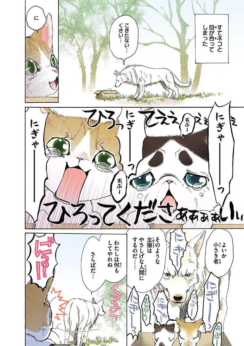うちの犬が子ネコ拾いました。