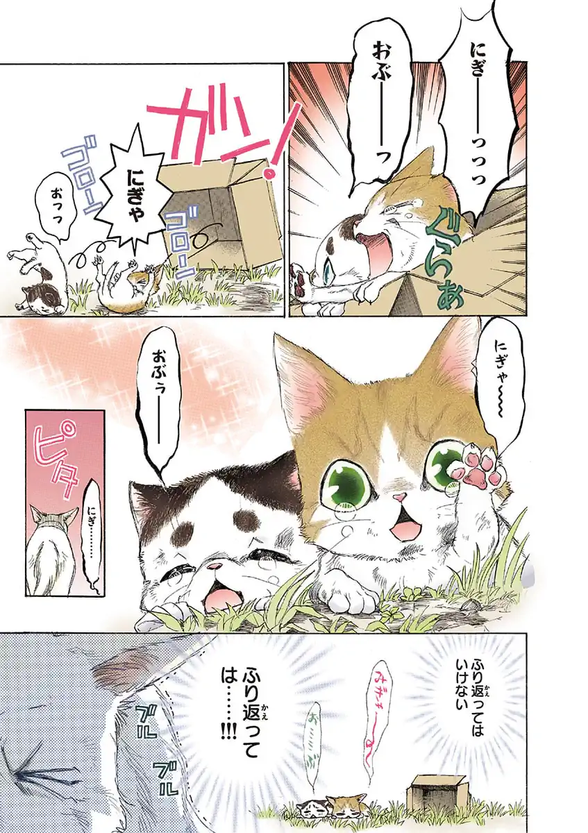 うちの犬が子ネコ拾いました。