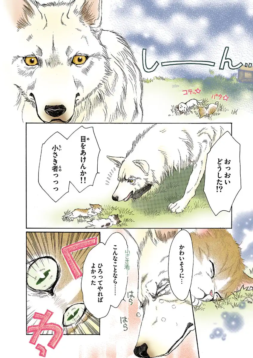 うちの犬が子ネコ拾いました。