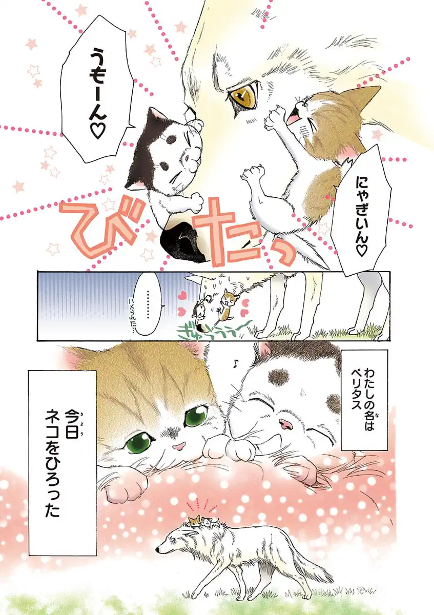 うちの犬が子ネコ拾いました。