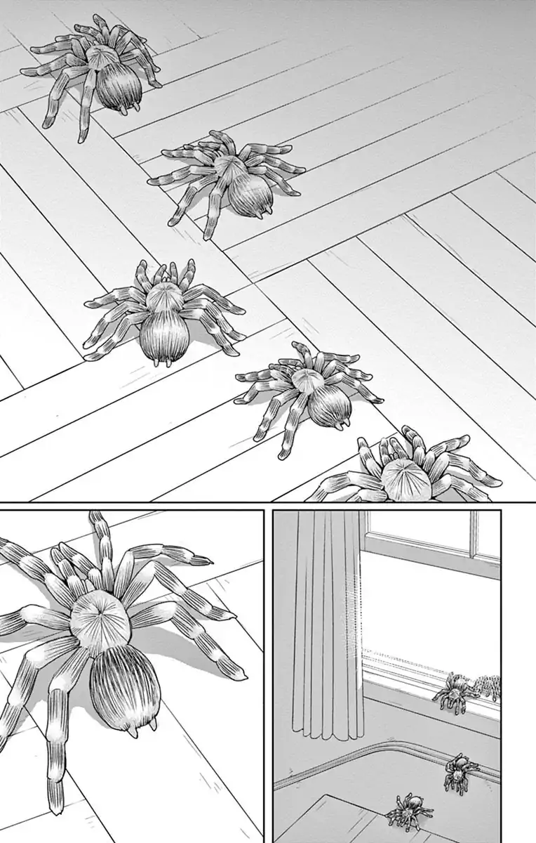 黒薔薇アリスD．C．al fine