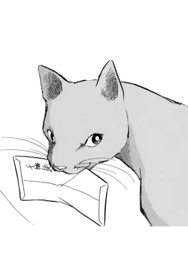 猫のイラスト