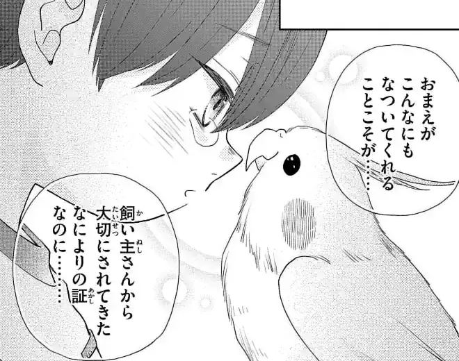 第40～41話 迷子のオカメインコを保護した岳。愛の芽生えと別れ。 そして新しい家族“よしむね”との出会い！のイラスト