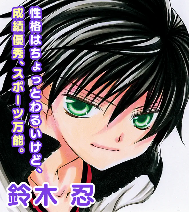 鈴木 忍のイラスト