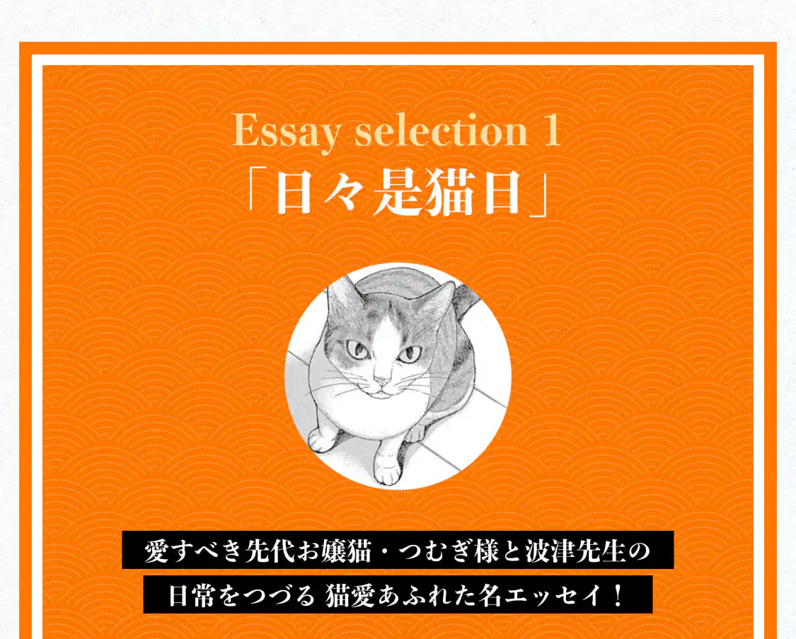 日々是猫日