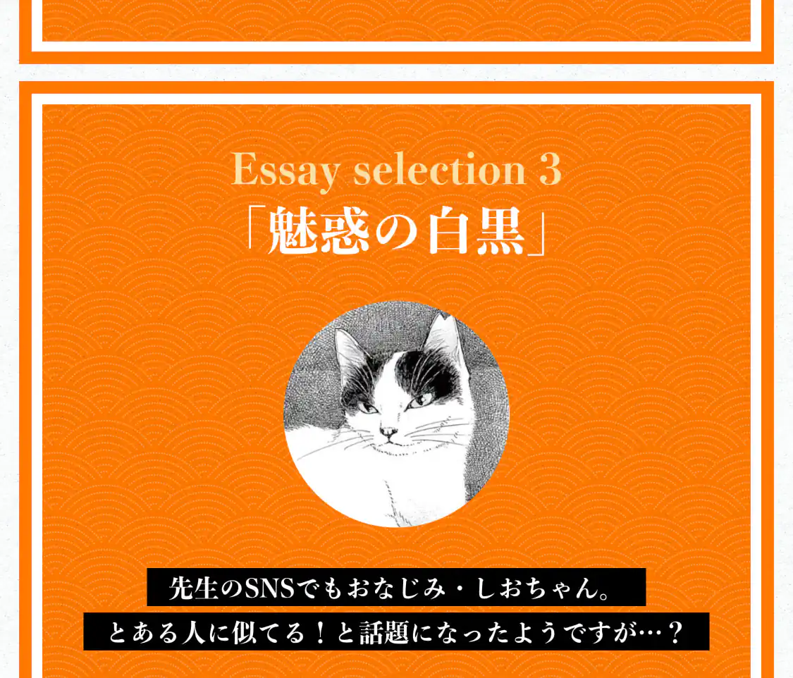 魅惑の白黒