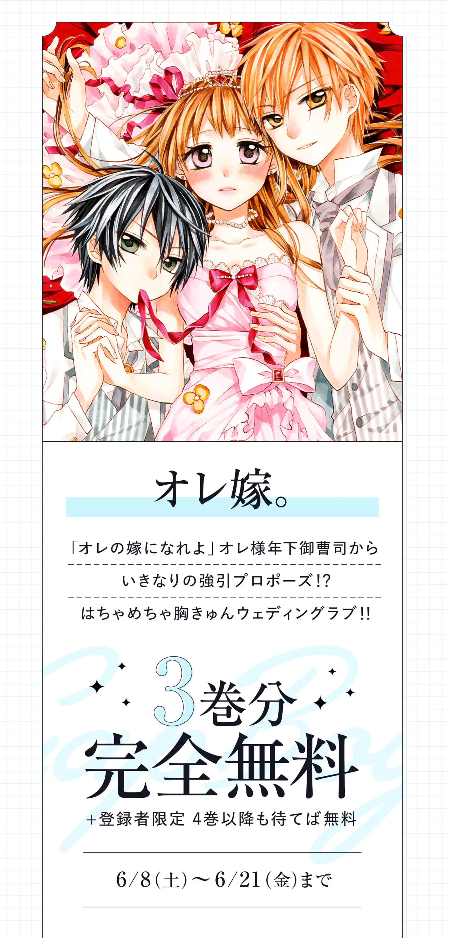オレ嫁。