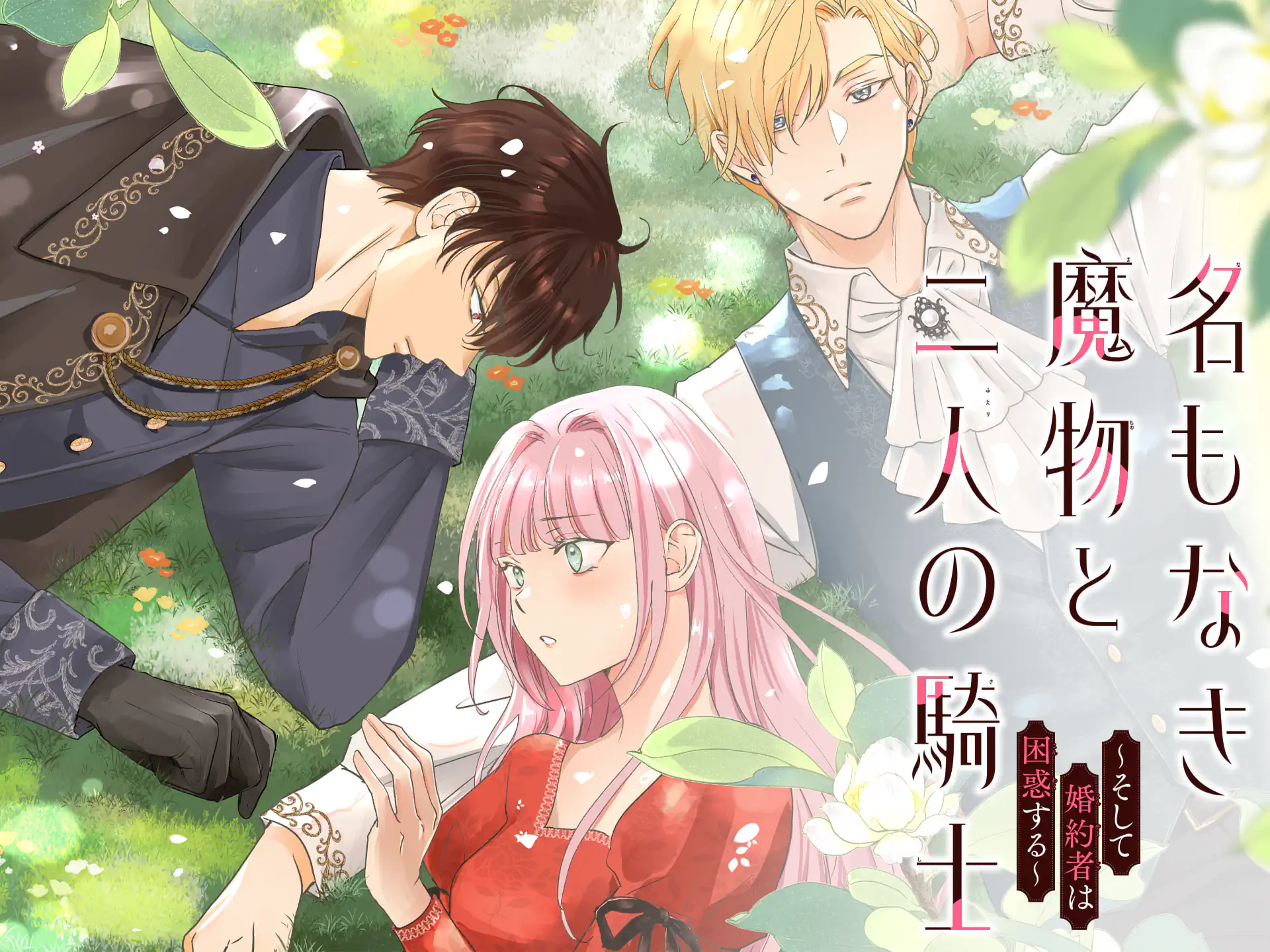 名もなき魔物と二人の騎士～そして婚約者は困惑する～ の作品サムネイル