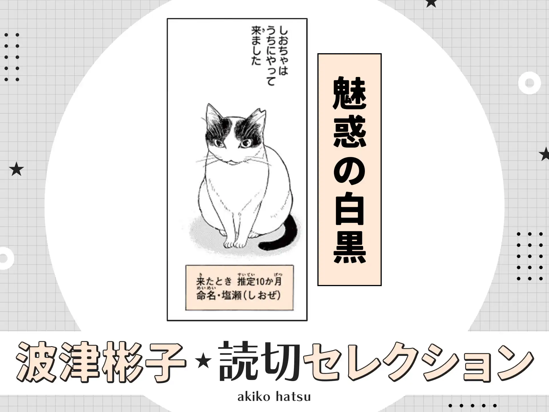 魅惑の白黒 の作品サムネイル